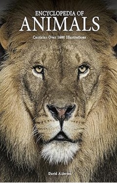 Encyclopedia of Animals (Encyclopedia Handbook)